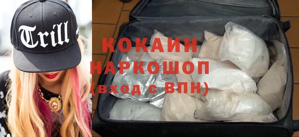 соль ск Белокуриха