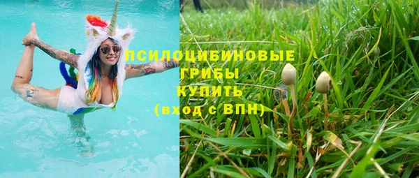 spice Беломорск