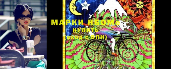 кокс Богородицк