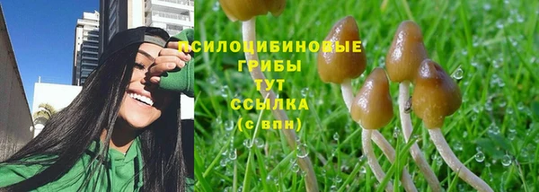 метамфетамин Богданович