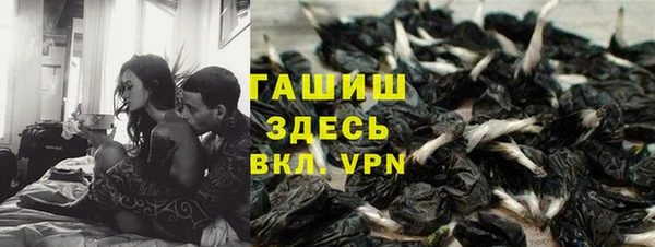 соль ск Белокуриха