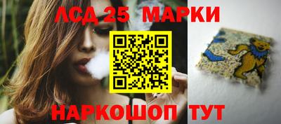 гидропоника Волжск