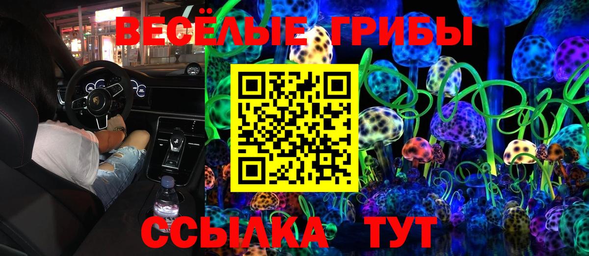 Галлюциногенные грибы ЛСД Свободный