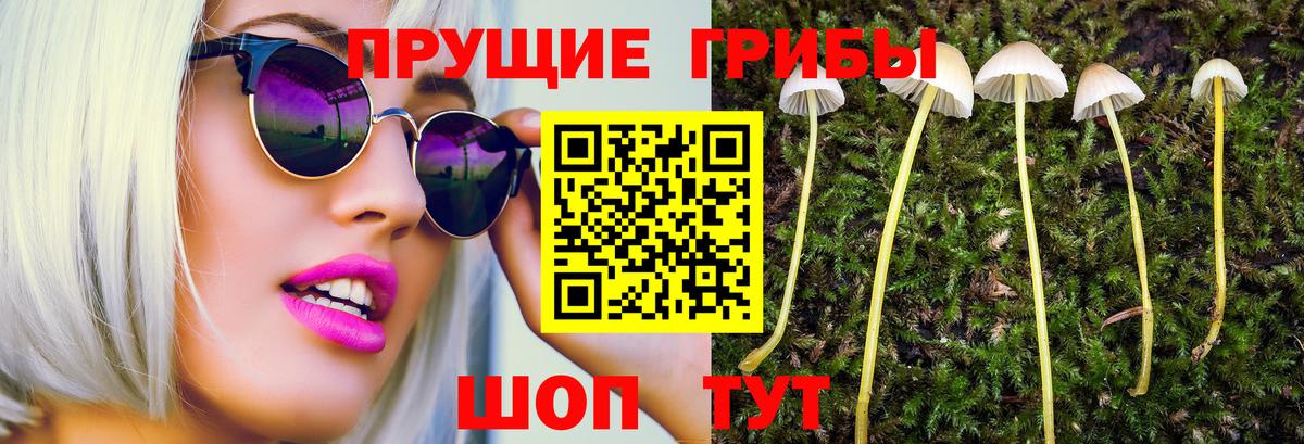 Псилоцибиновые грибы Magic Shrooms  Вход с VPN  Свободный 